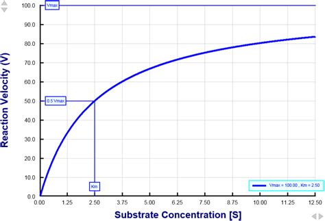 Michaelis Menten Graph