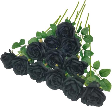 Micheals Black Roses