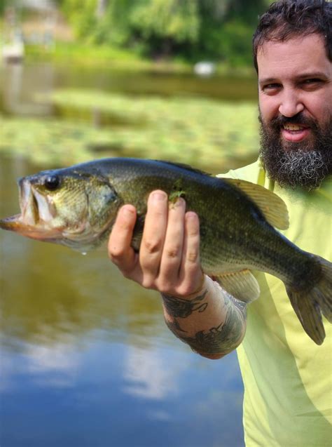 michigan bas