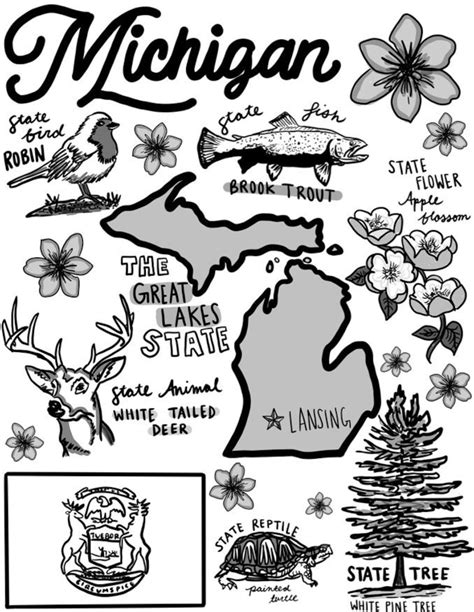 Michigan Coloring Page Greatestcoloringbook Com Michigan State Coloring Page - Michigan State Coloring Page