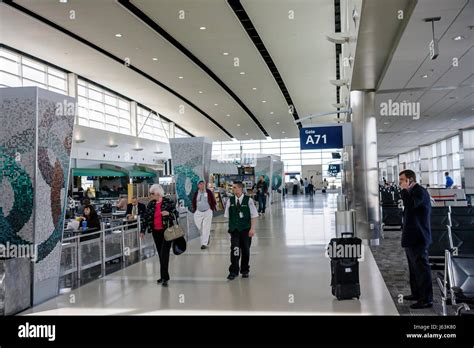 michigan dtw