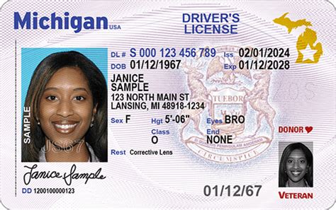 michigan ids
