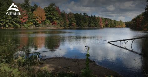 michigan interlochen