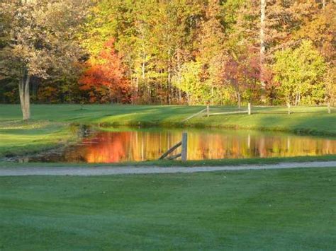 michigan meadows