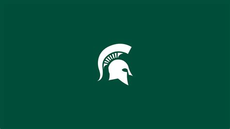 michigan state