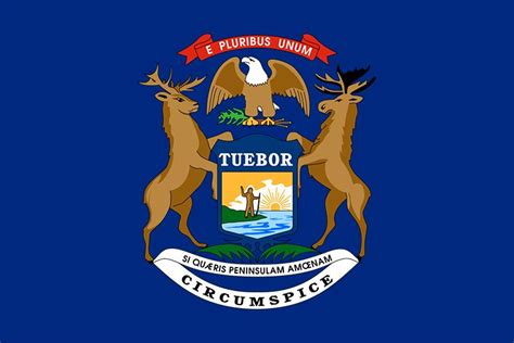 michigan state flag
