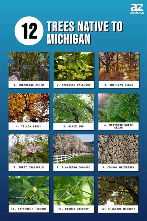 michigan trees
