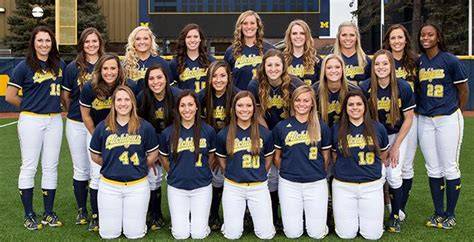 michigan wolverines softball