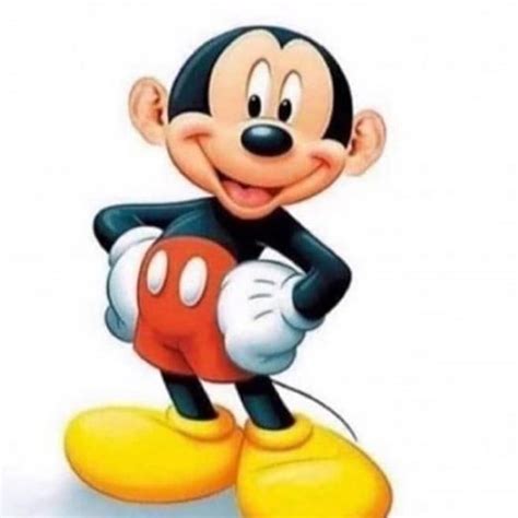 Mickey Mouse Pelon