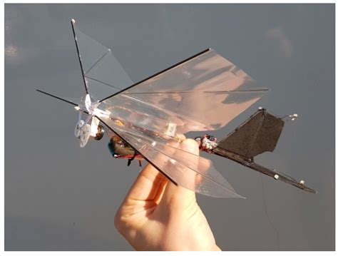 Micro Air Vehicle