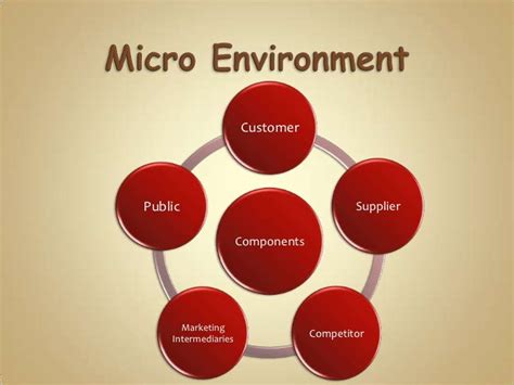 Micro Environment Consists Of