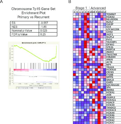 microarray q value fdr biography