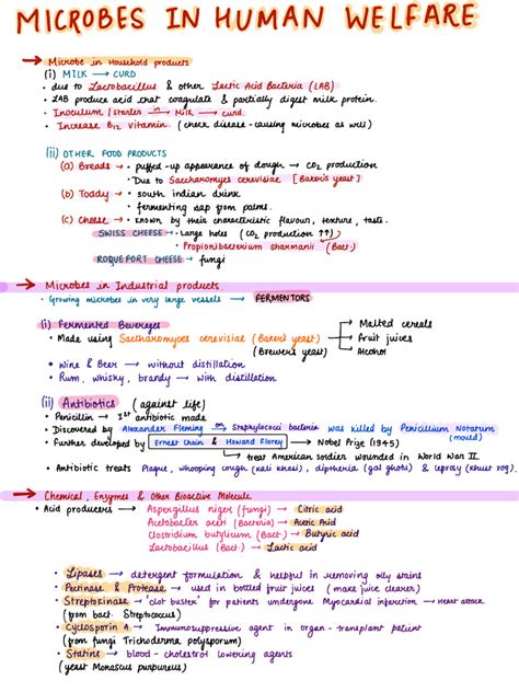 Microbes In Human Welfare Class 12