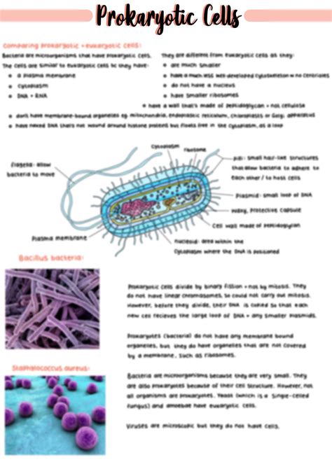Full Download Microbes On Peas A2 Ocr Biology 