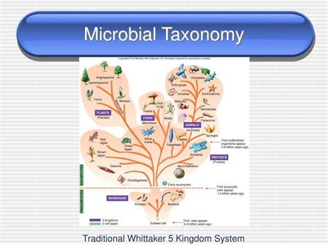 Microbial Biogeography From Taxonomy To Traits Science Traits Science - Traits Science