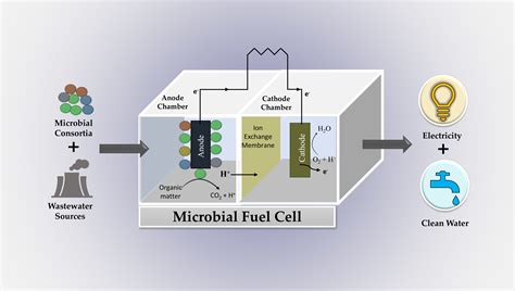 Microbial Fuel Cell