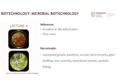 Full Download Microbial Biotechnology Lecture Notes Pdf 