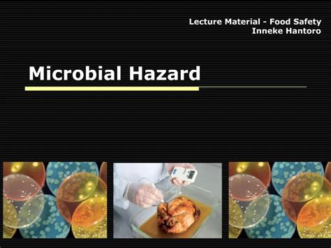 Download Microbiological Hazards In Fresh Fruits And Vegetables Who 