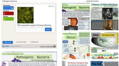 microbiology biologystudyguides