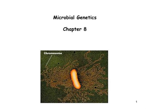 Microbiology Chapter 8 Microbial Genetics