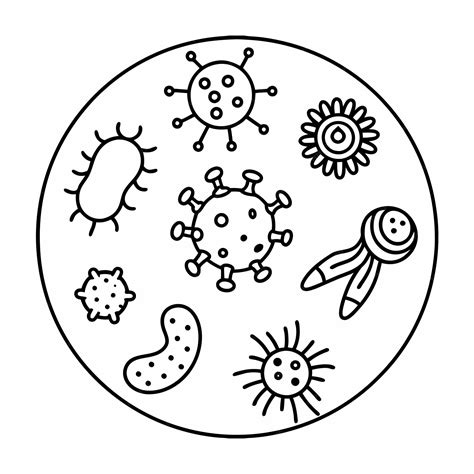 microbiology coloring book