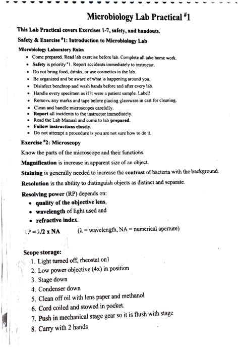 Microbiology Lab Practical Exam 2 Bing