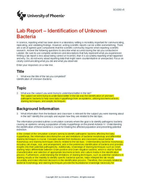 Microbiology Lab Report