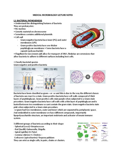 Microbiology Lecture Notes And Study Guides