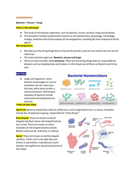 Microbiology Notes