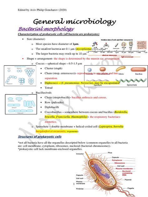 Microbiology Notes Pdf