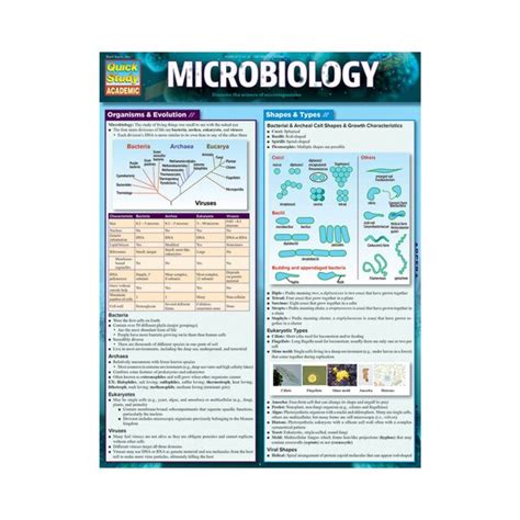 Microbiology Study Guide Quick Exam Prep Mcqs Rev