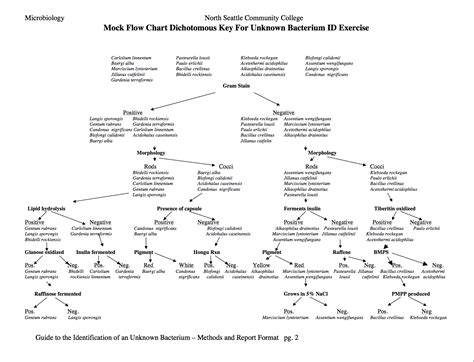 Microbiology Unknown Identification Chart