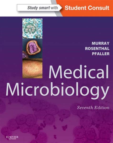 Full Download Microbiology 7Th Edition 