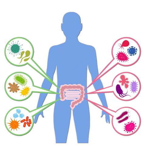 microbioom