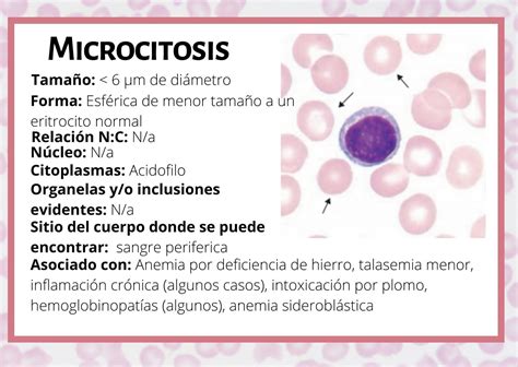 Microcitose E Câncer
