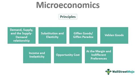 Microeconomics Theory Basic Principles