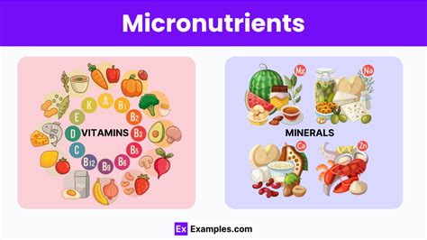 Micronutrients Examples