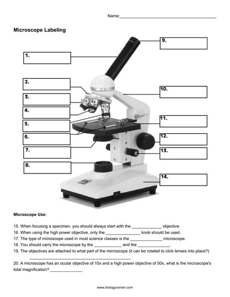 Microscope Activities And Worksheets The Filipino Homeschooler Microscope Activity Worksheet - Microscope Activity Worksheet
