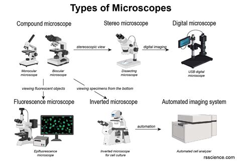 Microscope And Types