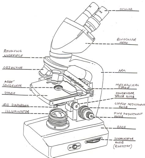 Microscope Drawing With Label