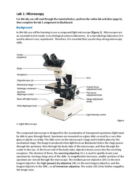 Microscope Lab Answers