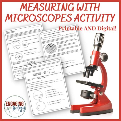 Microscope Learning Activity Teaching Resources Tpt Microscope Activity Worksheet - Microscope Activity Worksheet