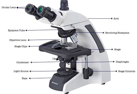 Microscope Parts Name