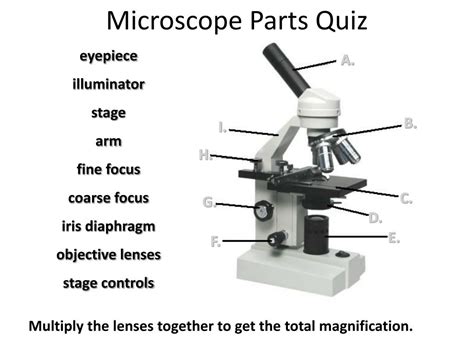 Microscope Quiz