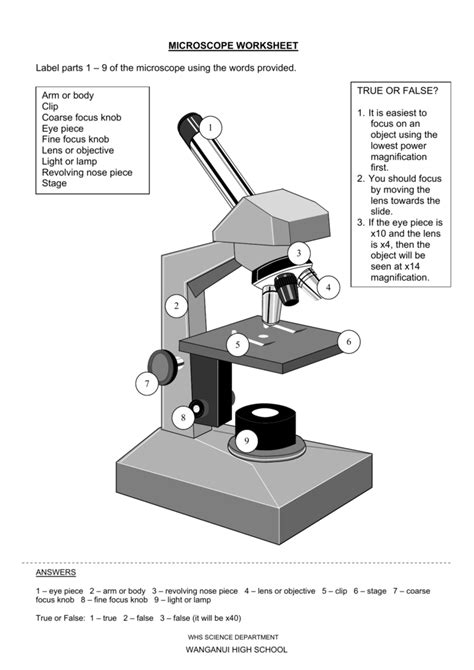 Microscope Worksheet Answers 8211 Askworksheet Biological Magnification Worksheet - Biological Magnification Worksheet