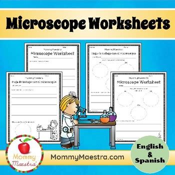 Microscope Worksheets By Mommymaestra Teachers Pay Teachers Microscope Magnification Worksheet - Microscope Magnification Worksheet