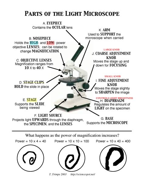 Download Microscope Mania Answers 