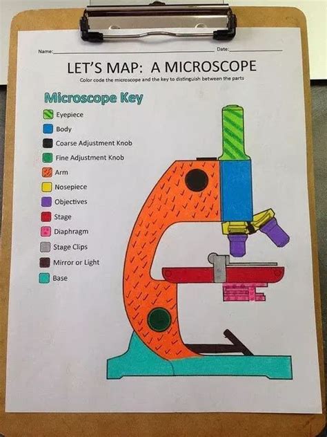 Microscopes Oak National Academy Microscope Activity Worksheet - Microscope Activity Worksheet