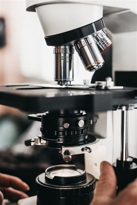 Full Download Microscopic Examination Of The Activated Sludge Process 