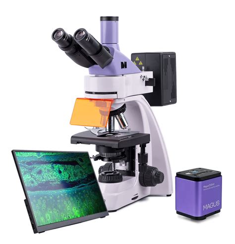 Microscopio De Fluorescencia